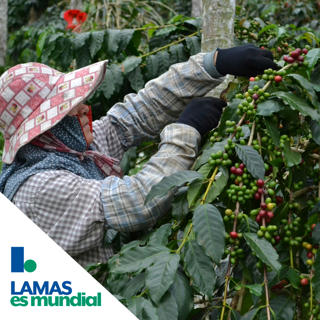 SEPTIEMBRE | Ruta del Cafe + Cartagena