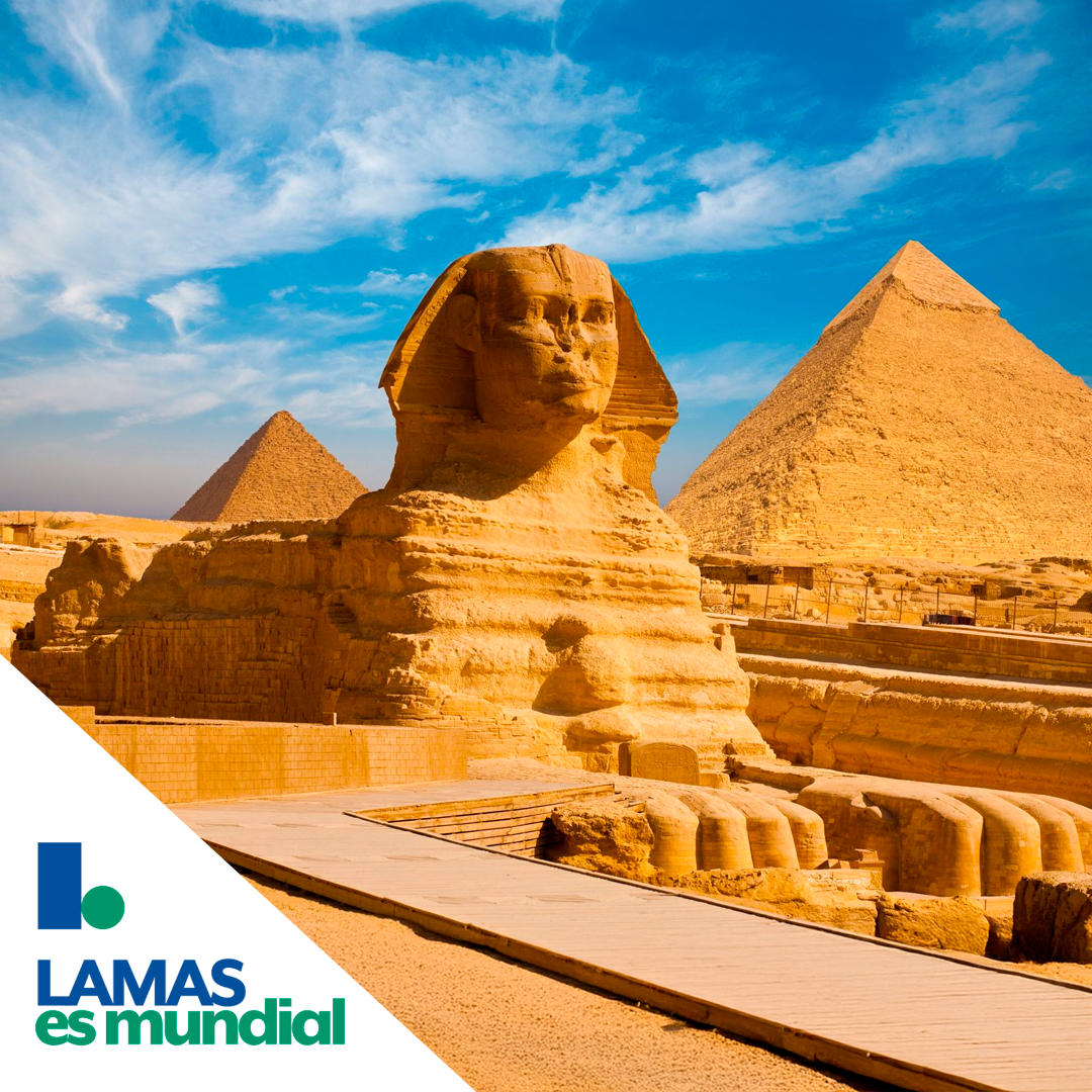 ENERO | Dubai y Egipto, Salida Grupal
