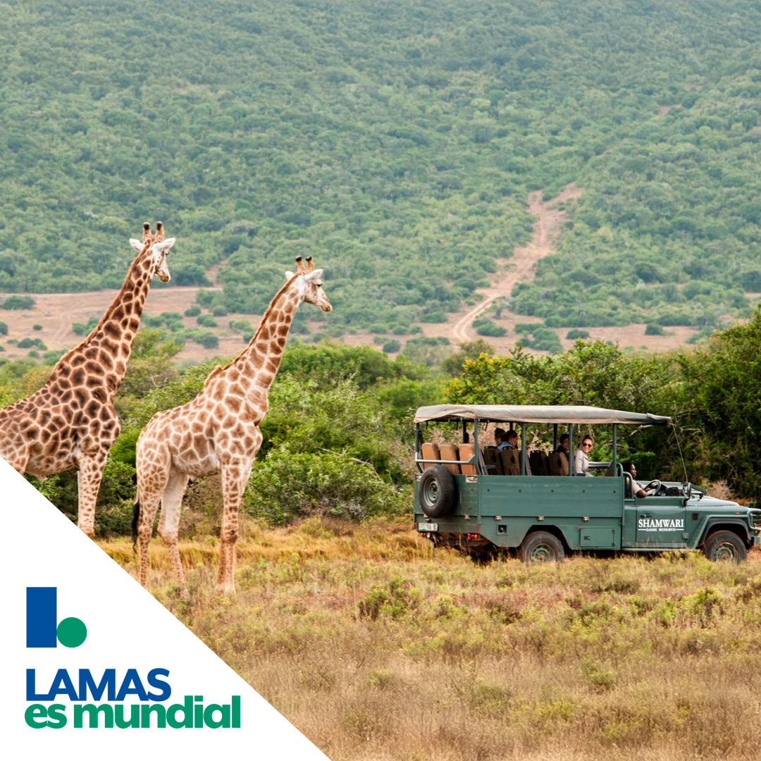 SEPTIEMBRE | Safari 