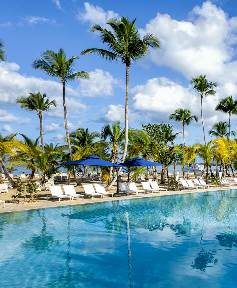 NOVIEMBRE | MICHES República Dominicana