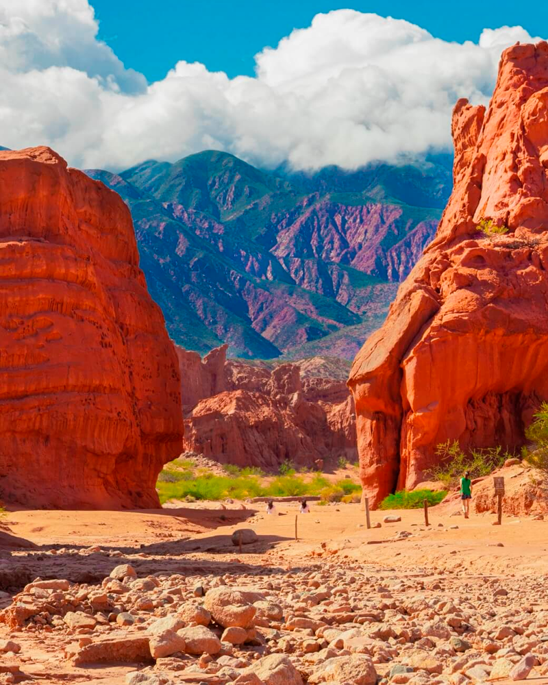 JUNIO | Norte Pleno desde Rosario