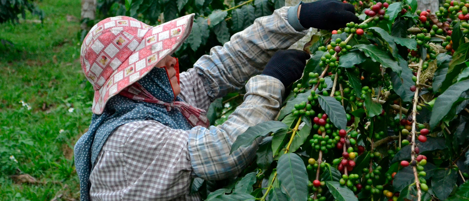 SEPTIEMBRE | Ruta del Café + Cartagena