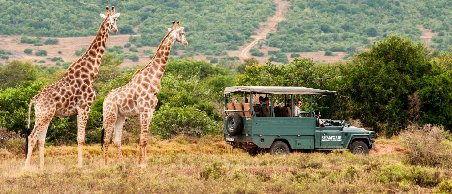 SEPTIEMBRE | Safari